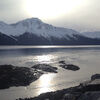 alaskabird3102